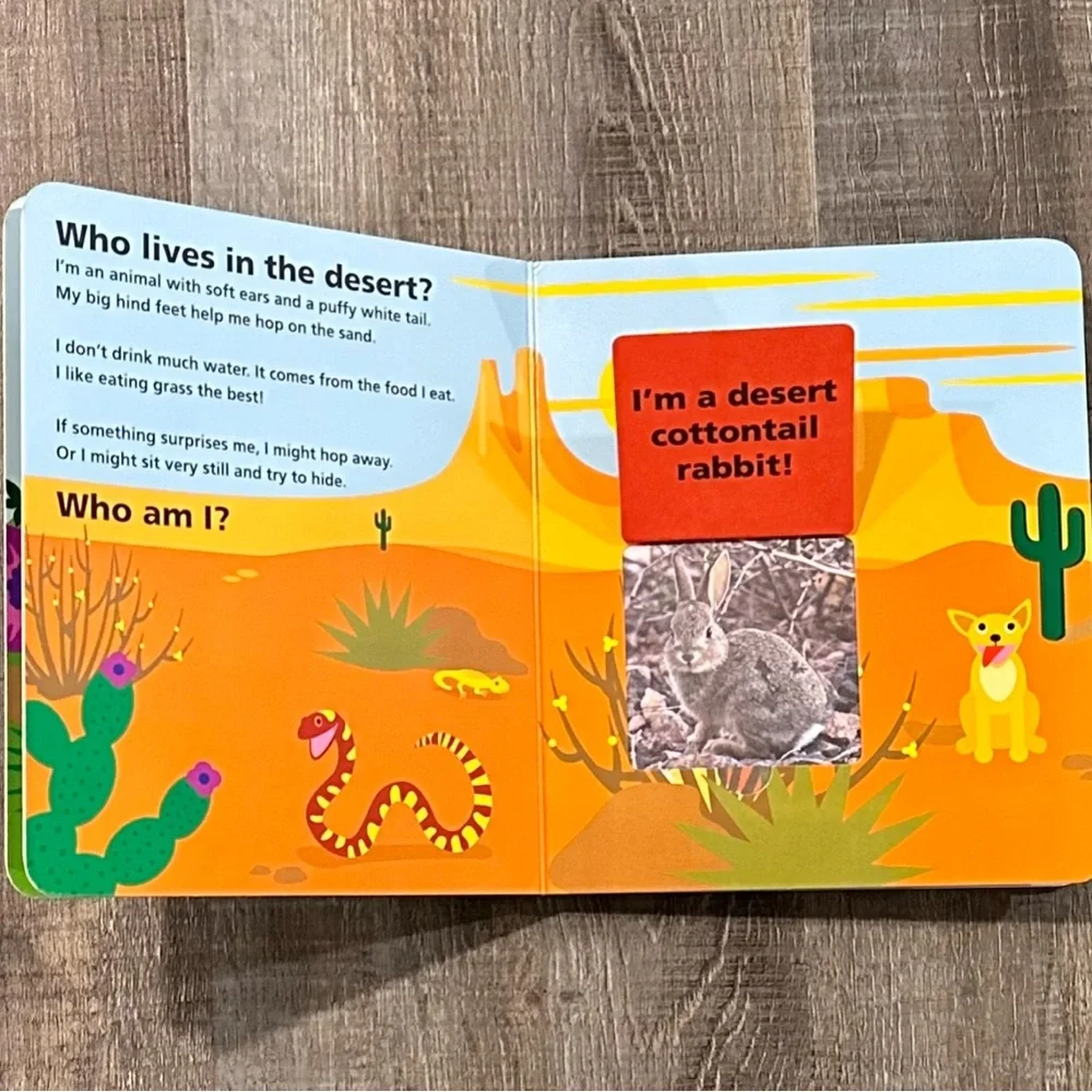 💞 Baby Einstein “Who Lives Here?” Lift the Flap Board Book